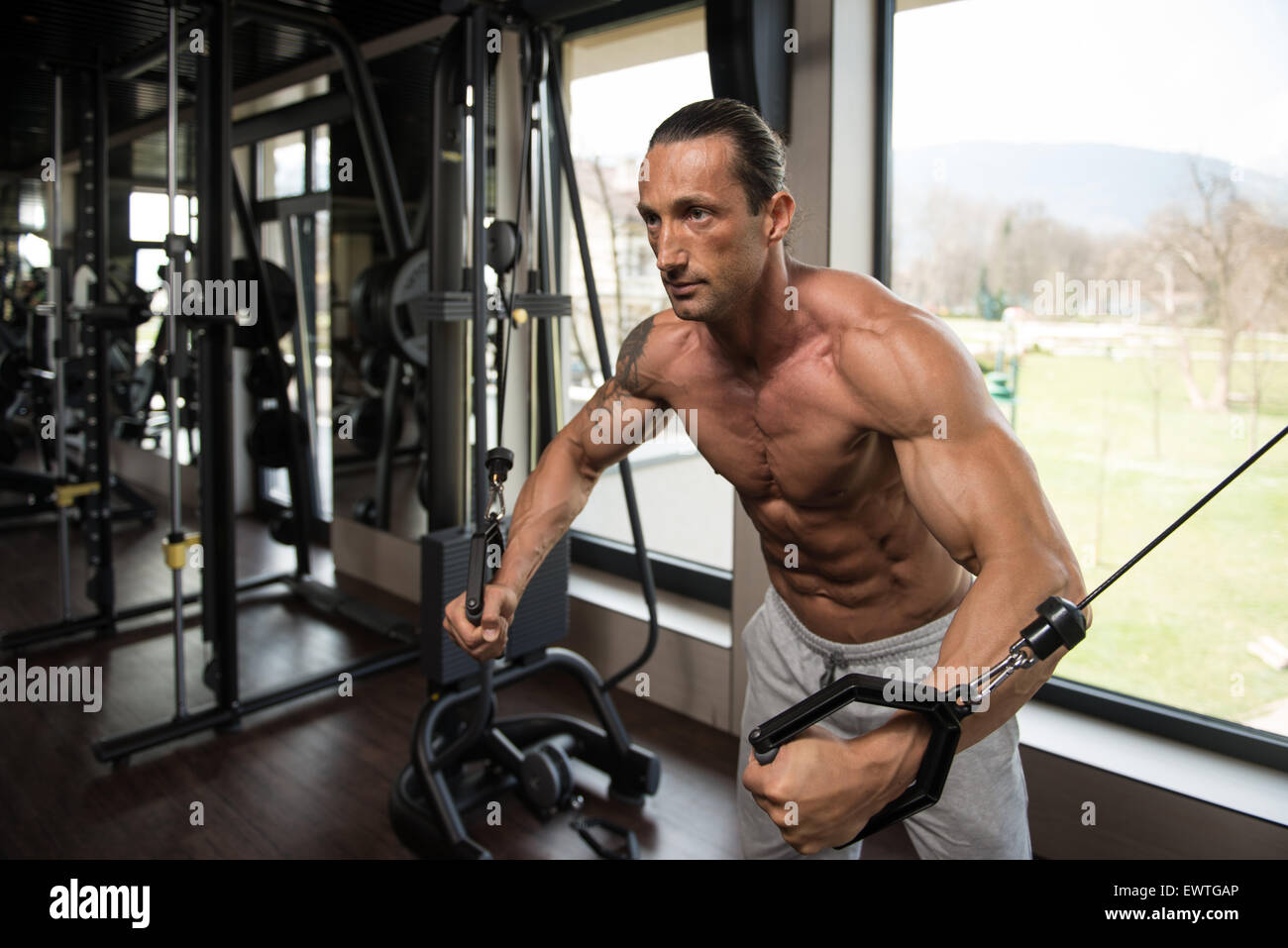 Muscular mature men Muscular mature men