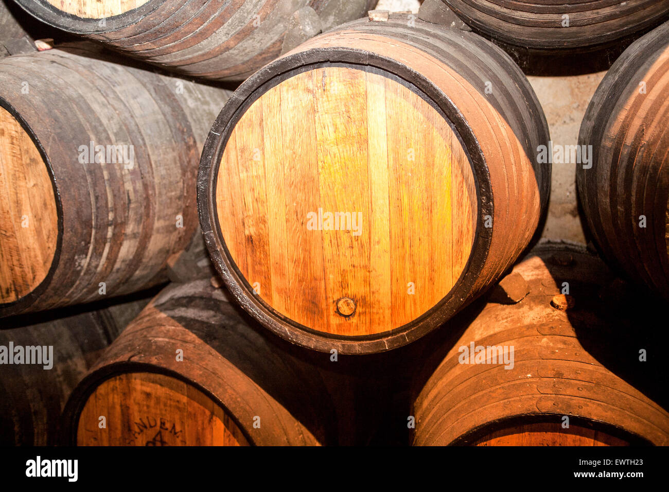 Barrels of the famous Port wine. Here at Sandemans wine cellar. The