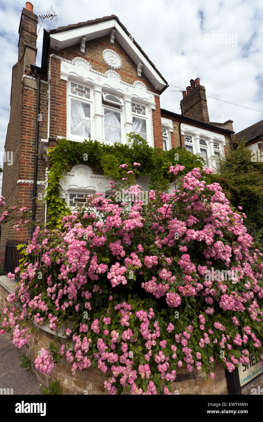 Lewisham house hires stock photography and images Alamy
