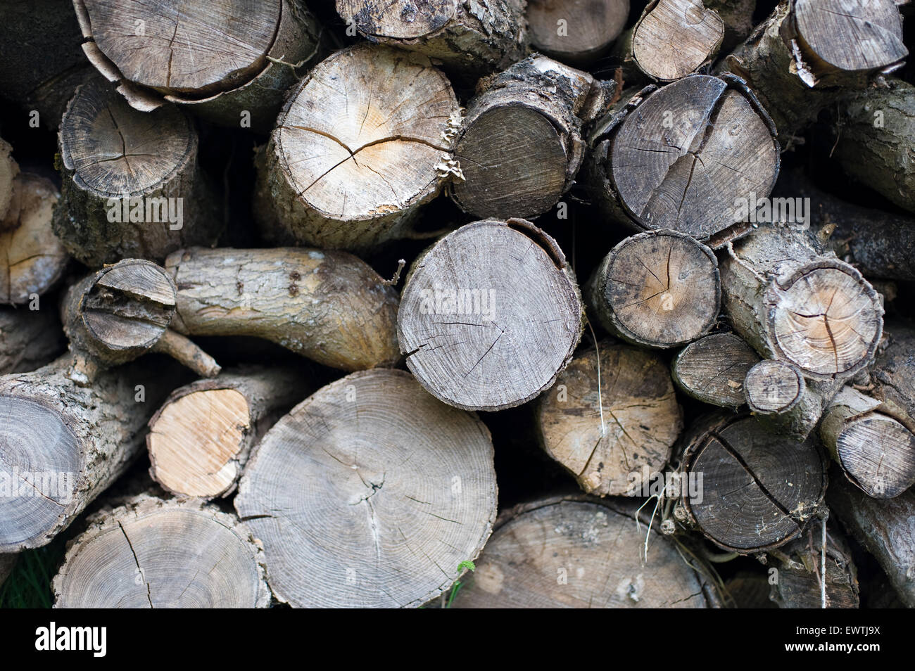 Pile of logs ready for an open fire. Pictured are the close up of the