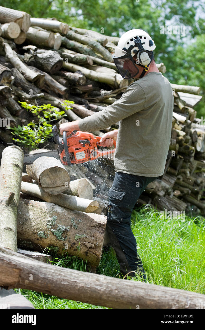 Husqvarna chainsaw hi-res stock photography and images - Alamy
