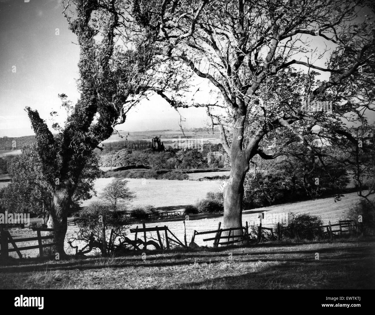 Gisborough Priory, North Yorkshire. 24th June 1960. Stock Photo