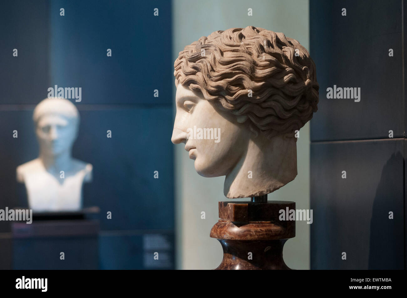 Marble head of Amazon Capitoline Museums Musei Capitolini Rome Italy