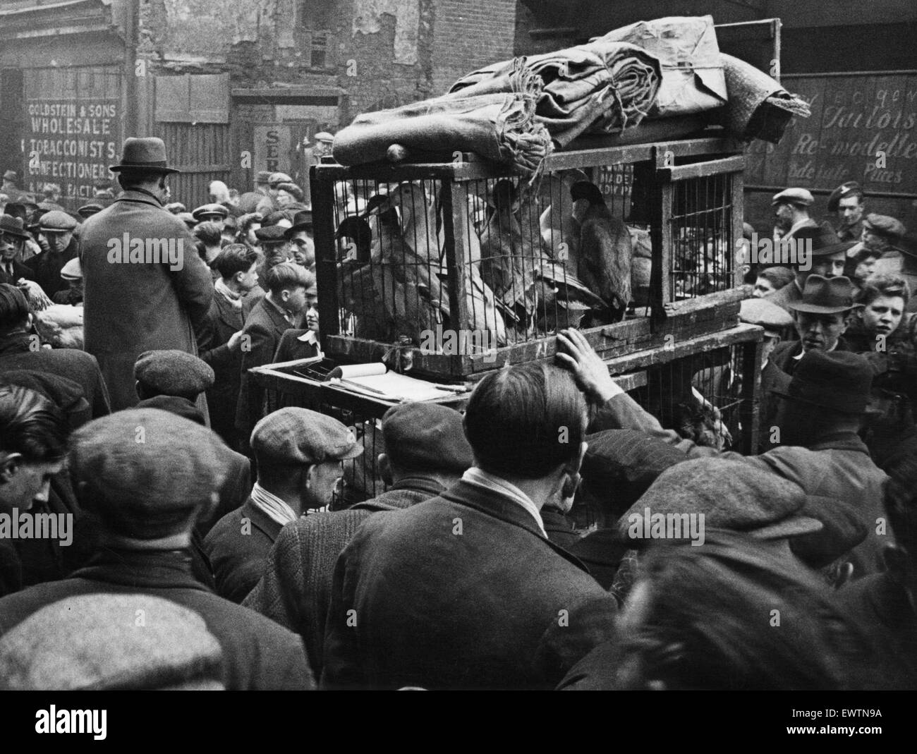 East London Small holders restocking sale. 18th February 1945 East London 'back yard smallholders' at the street market in Bethnal Green, buying rabbits, chicks, hens, goats etc for spring restocking. They are keen judges of the livestock offered and much Stock Photo