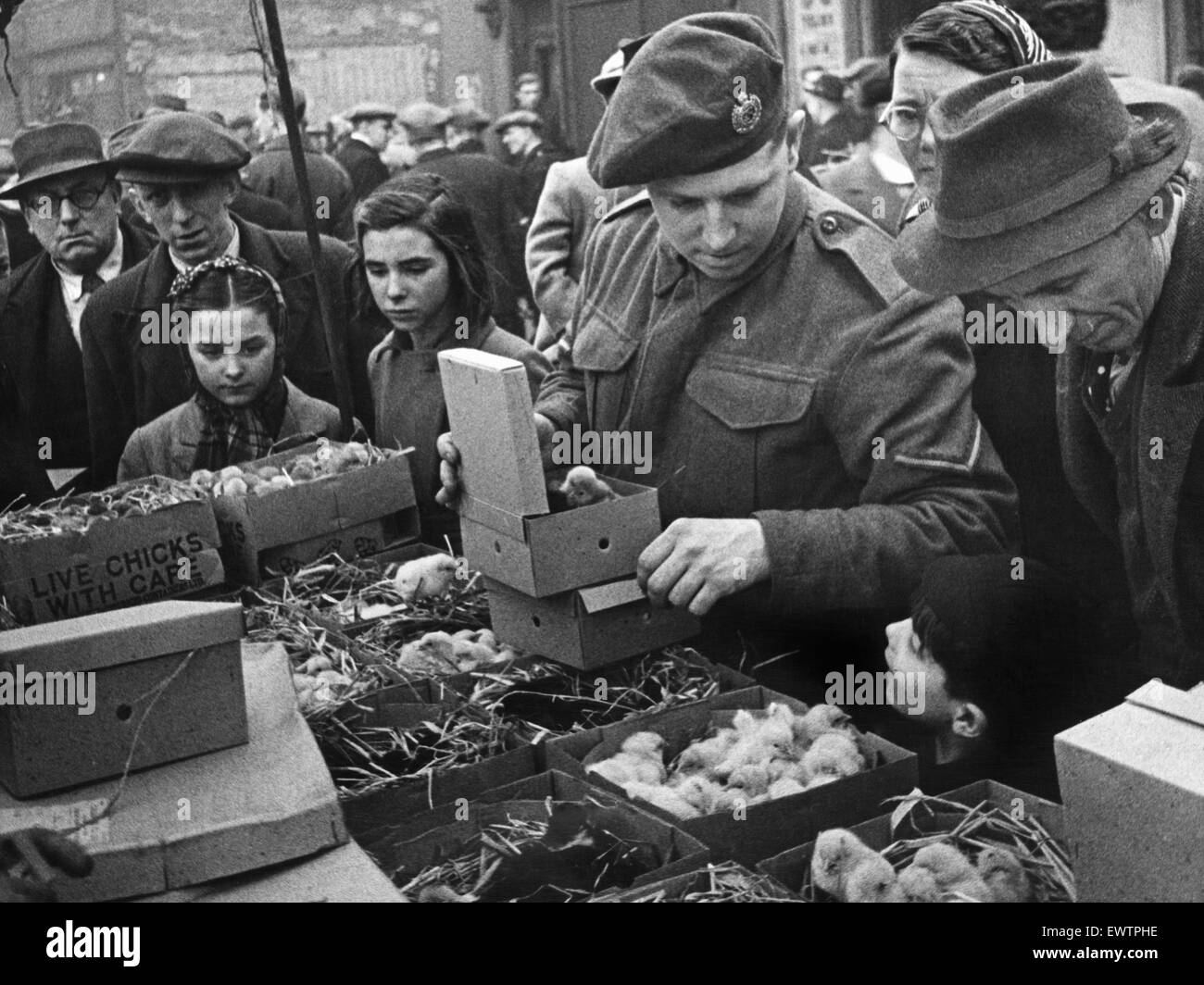 East London Small holders restocking sale. 18th February 1945 East London 'back yard smallholders' at the street market in Bethnal Green, buying rabbits, chicks, hens, goats etc for spring restocking. They are keen judges of the livestock offered and much Stock Photo