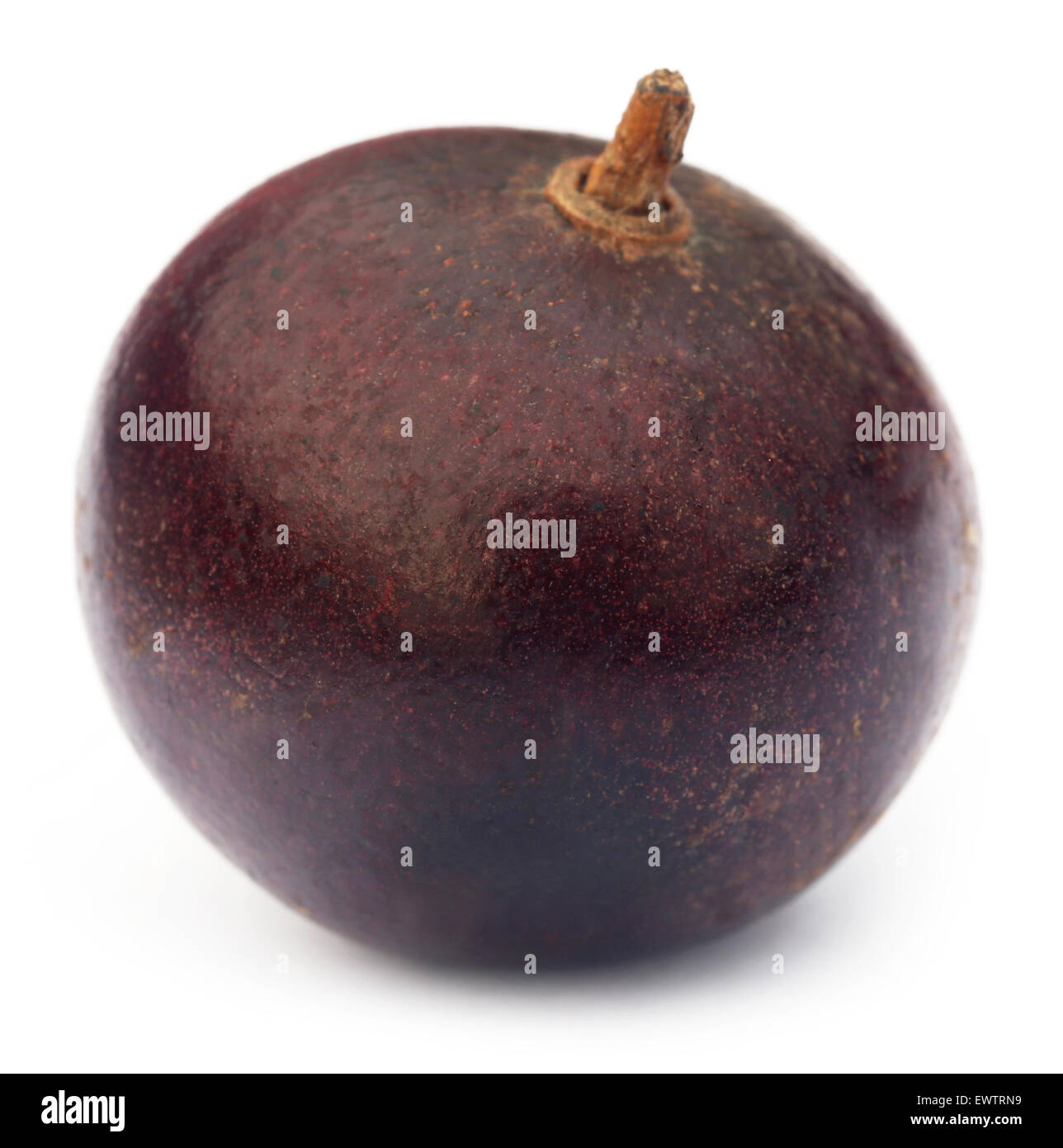 Flacourtia fruit over white background Stock Photo