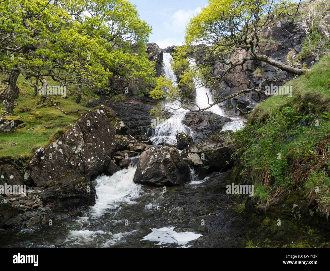 Eas Fors waterfall situated Allt an Eas Fors Burn Isle of Mull Argyll and Bute Scotland one of the most spectacular waterfalls on Mull Stock Photo