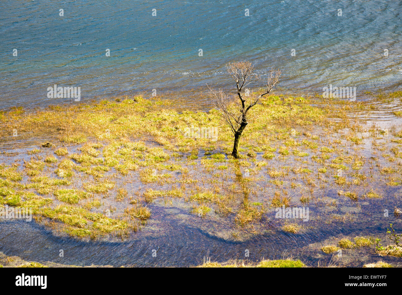 High water level flooding land, Lake Buttermere, Lake District national park, Cumbria, England, UK Stock Photo