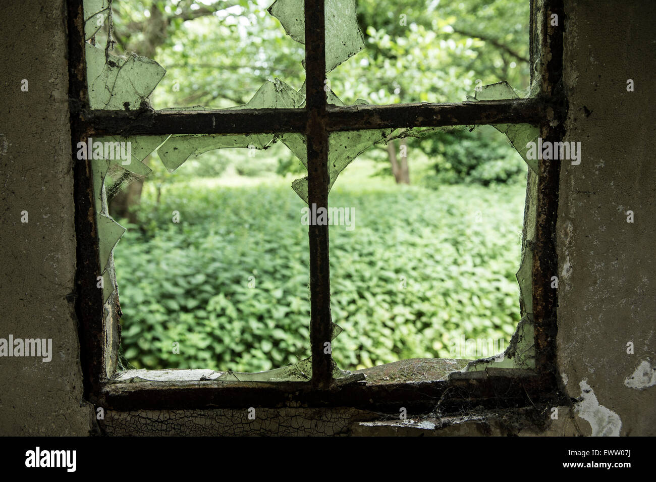 Broken windows on a derelict building Stock Photo Alamy