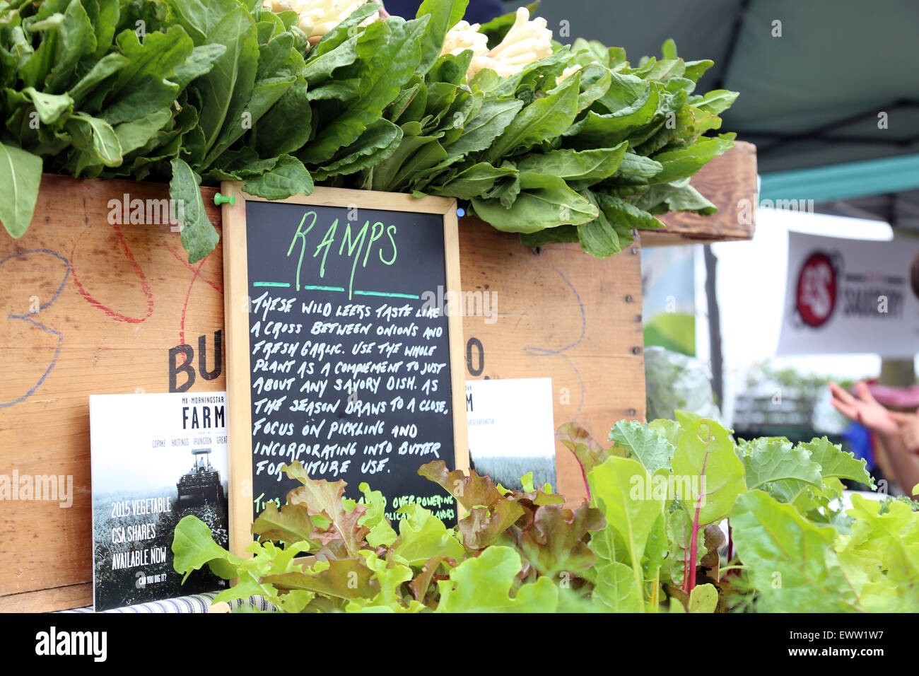 Market Ramp Ramps on display at a farmers market, Hastings-on-Hudson, NY, USA Stock ...