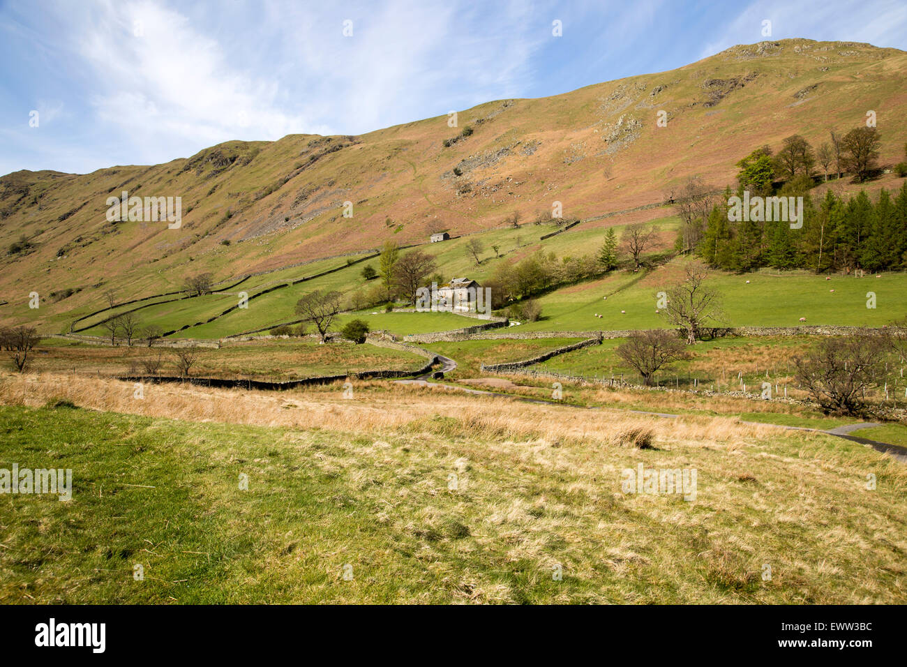 Boredale valley, Martindale, Lake District national park, Cumbria, England, UK Stock Photo Alamy