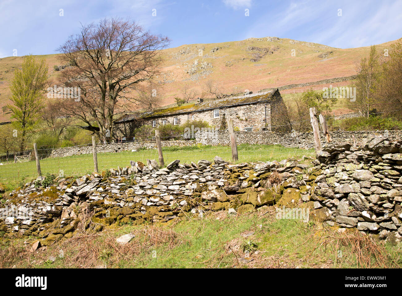Boredale valley, Martindale, Lake District national park, Cumbria, England, UK Stock Photo Alamy
