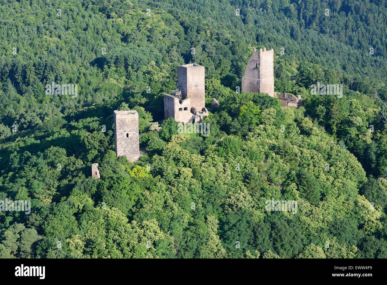 AERIAL VIEW. Haut-Eguisheim Castles. Left to right; Dagsbourg, Wahlenbourg and Weckmund castles. Haut-Rhin, Alsace, Grand Est, France. Stock Photo