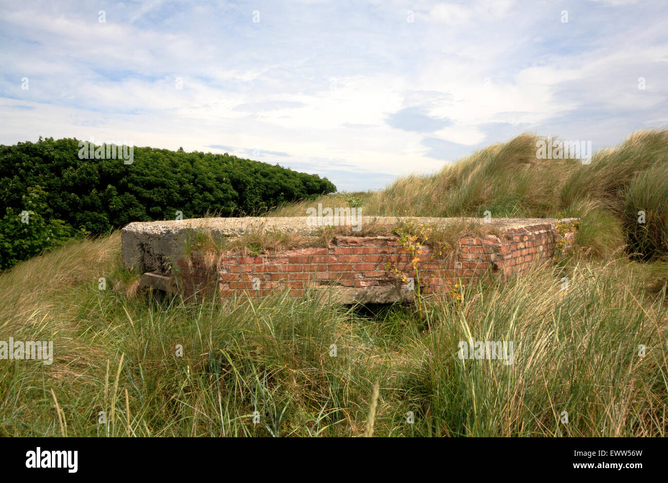 A wartime pillbox half buried in sand dunes on the east coast at Waxham