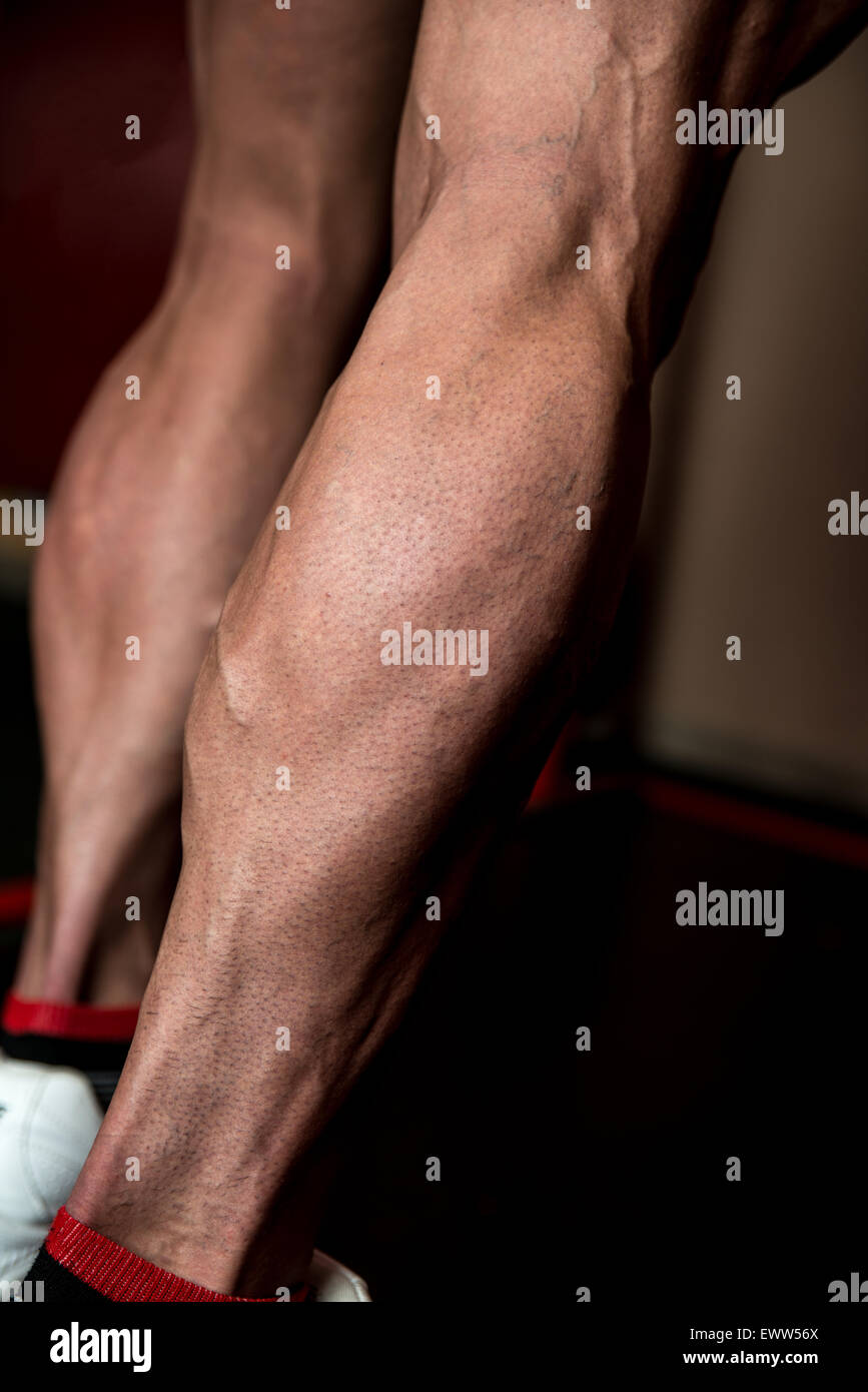 Sporty Legs Calf Stock Photo Alamy