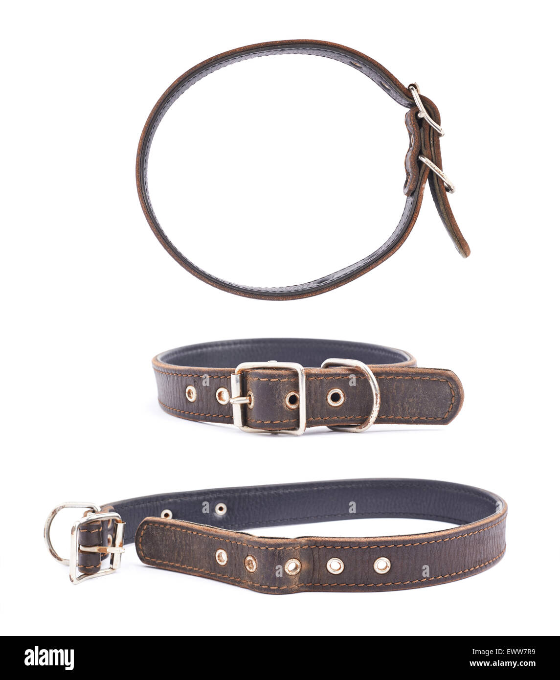 Old leather dogcollar isolated Stock Photo Alamy