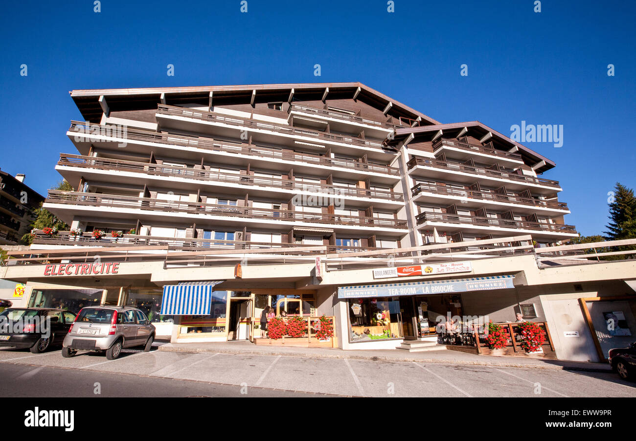 Apartments/ flats, chalets in famous skiing resort of Nendaz (Four Valleys) in Valais region of