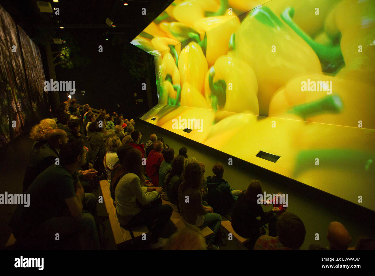 Italy, Milan, Expo 2015, Pavilion of Israel, indoor Stock Photo - Alamy