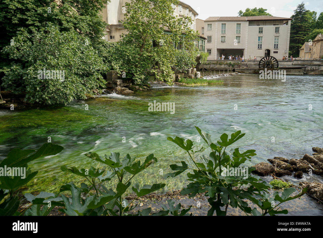 La Sorge River, Fontaine de Vaucluse, Provence, France, EuropeAvignon, Bouche du Rhone, France Stock Photo