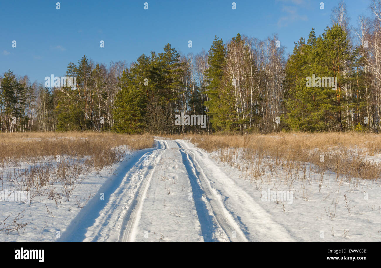 Country road to winter mixed forest Stock Photo