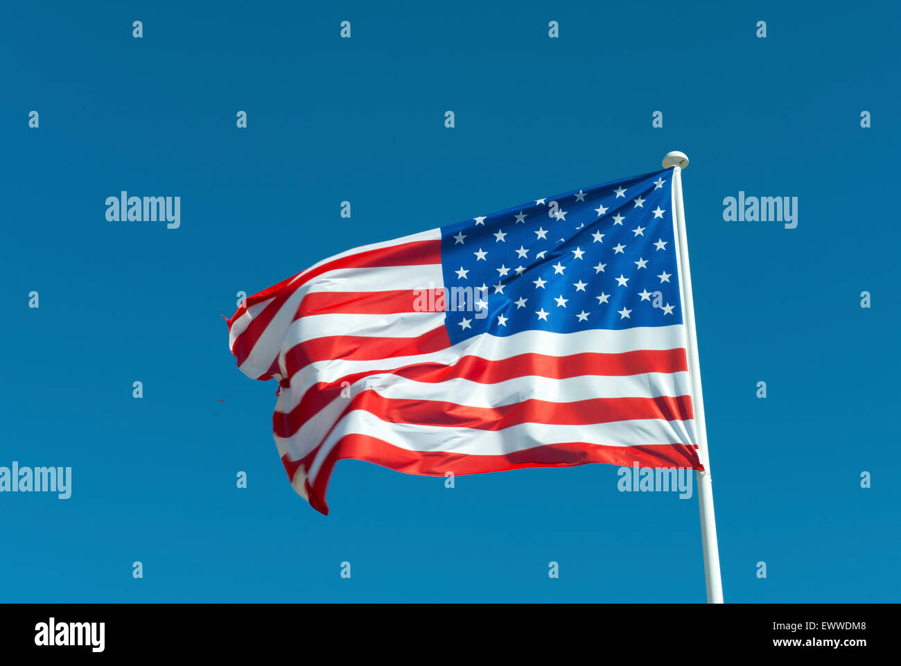 The stars and stripes flag, Florida, USA Stock Photo
