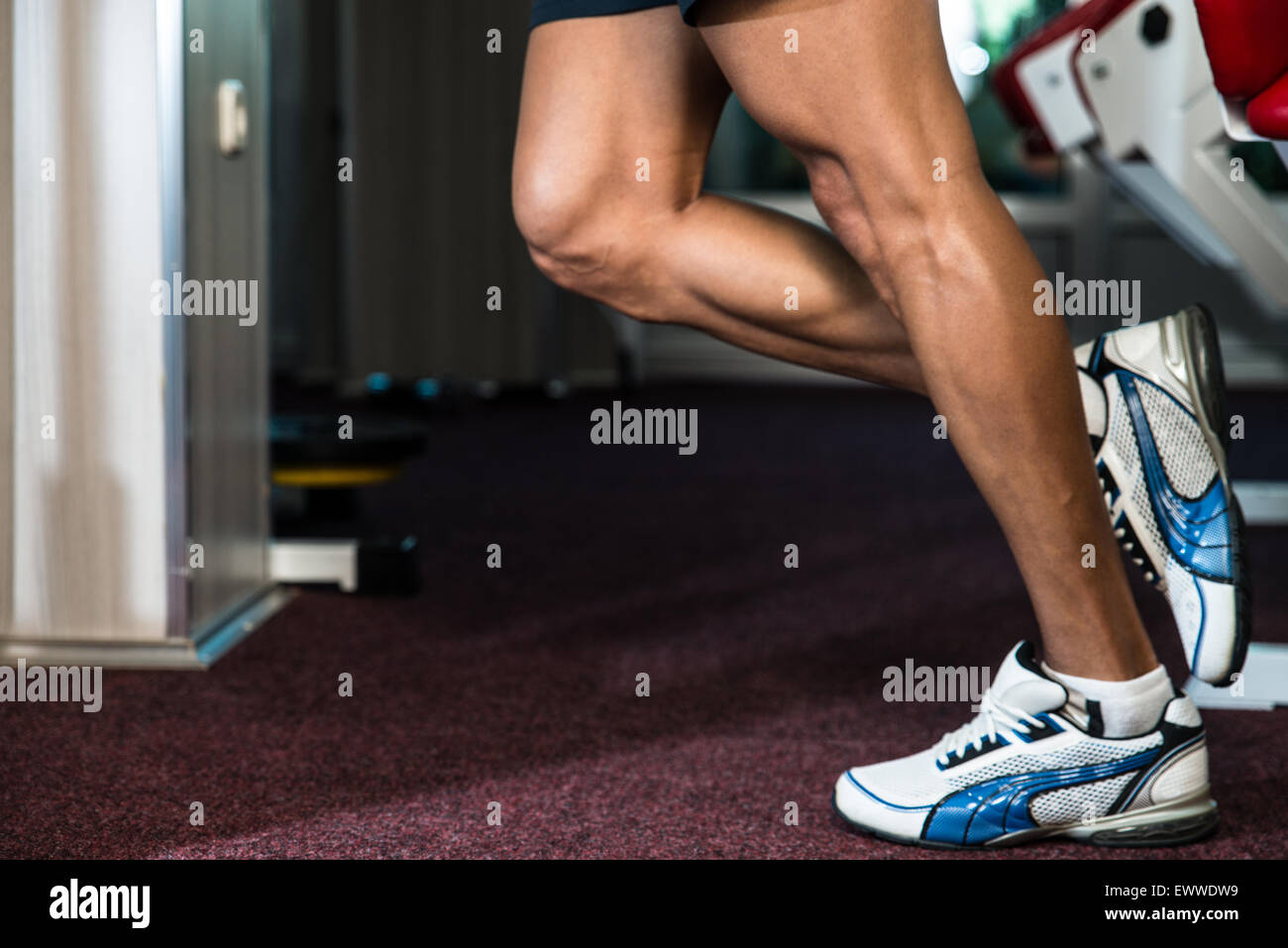 Sporty Legs Calf Stock Photo Alamy
