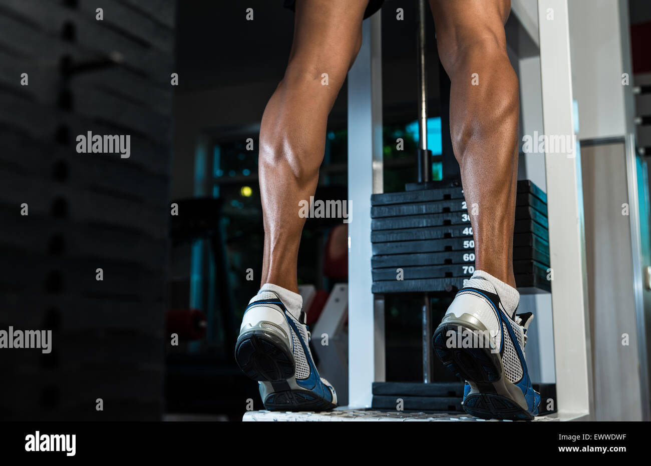 Thats How You Train Legs Calves Stock Photo Alamy