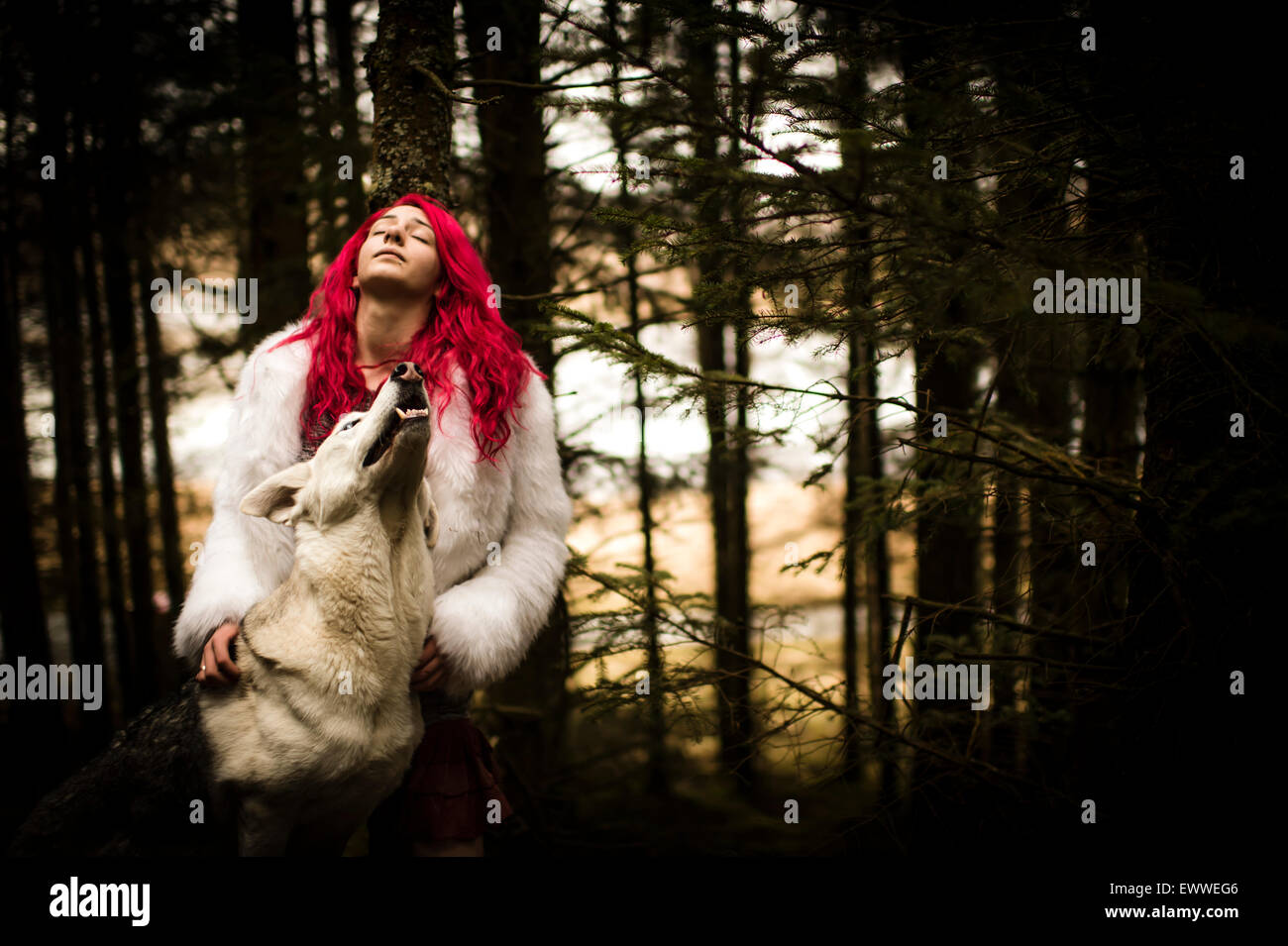 The stuff of dreams and nightmares: A young red haired caucasian woman girl alone in a dark pine forest with a white wolf-like dog Stock Photo