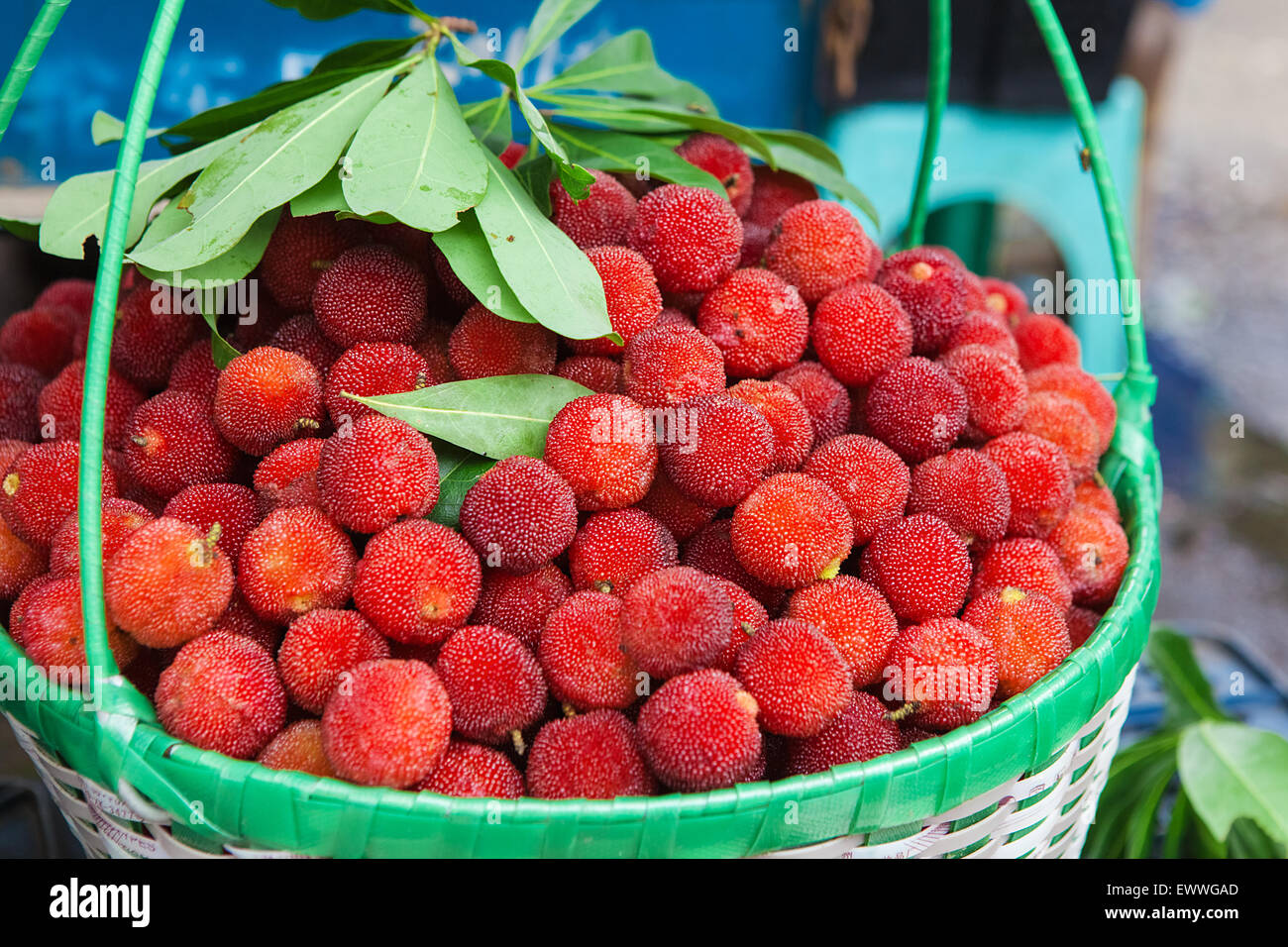 Fresh waxberry in the basket Stock Photo