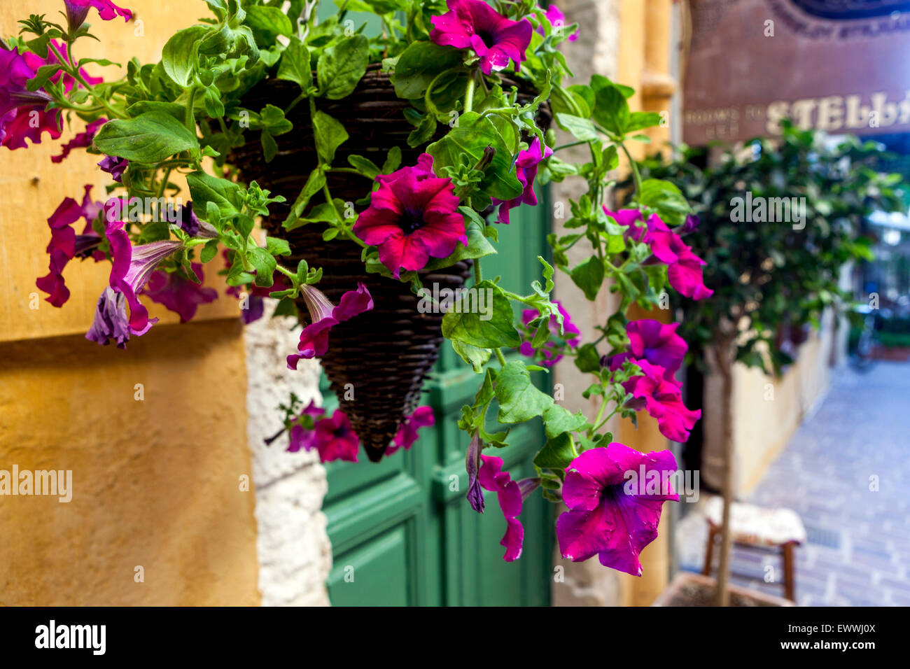 Street, petunia pot Chania, Crete Greece flower Stock Photo