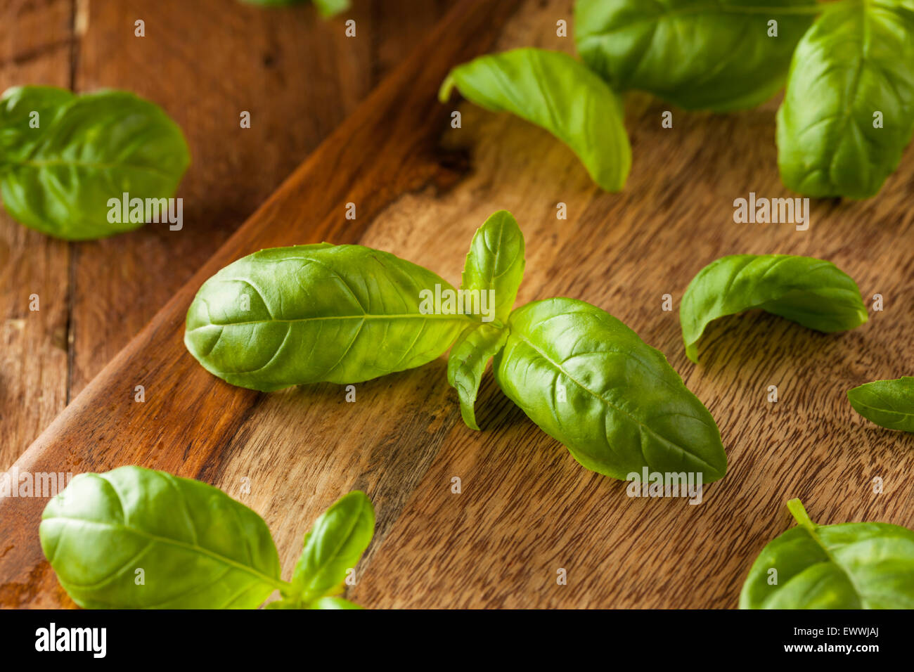 Raw Organic Green Basil Ready to Cook With Stock Photo Alamy