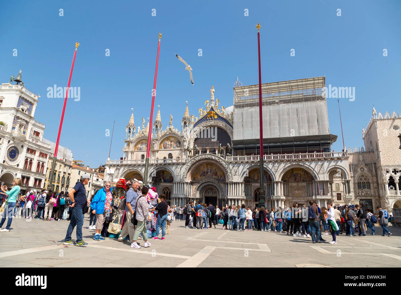 Saint Mark's Basilica is the cathedral church of the Roman Catholic