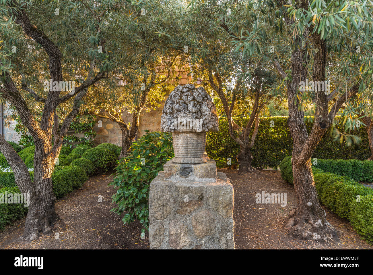Napa Valley home garden with olive trees and stone statuary Stock Photo