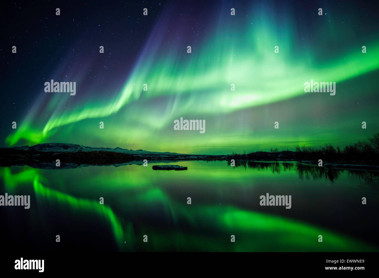 Northern lights blazing over lake Thingvellir national park in Iceland Stock Photo