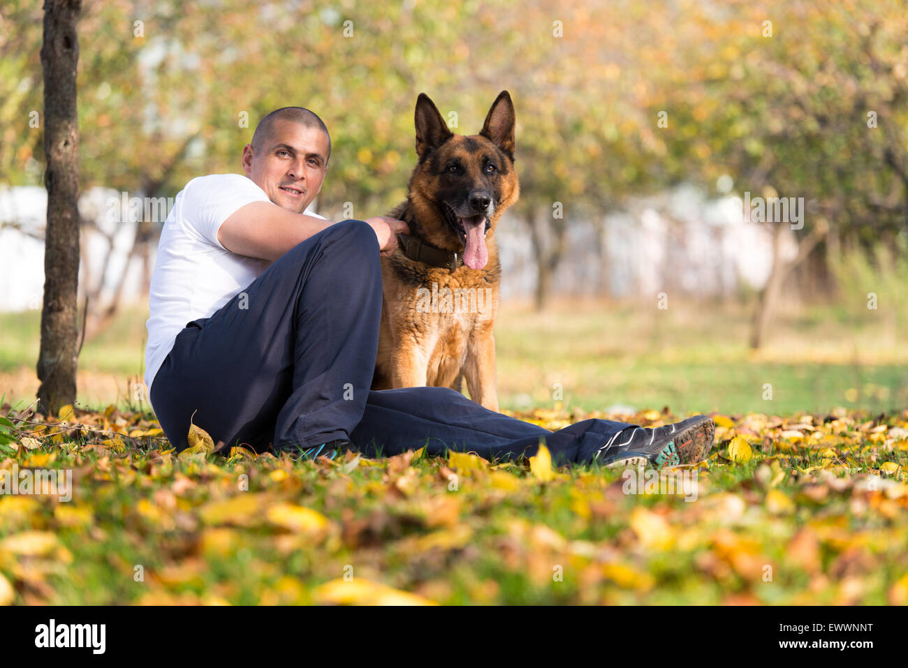Man Playing With Dog German Shepherd In Park Stock Photo Alamy