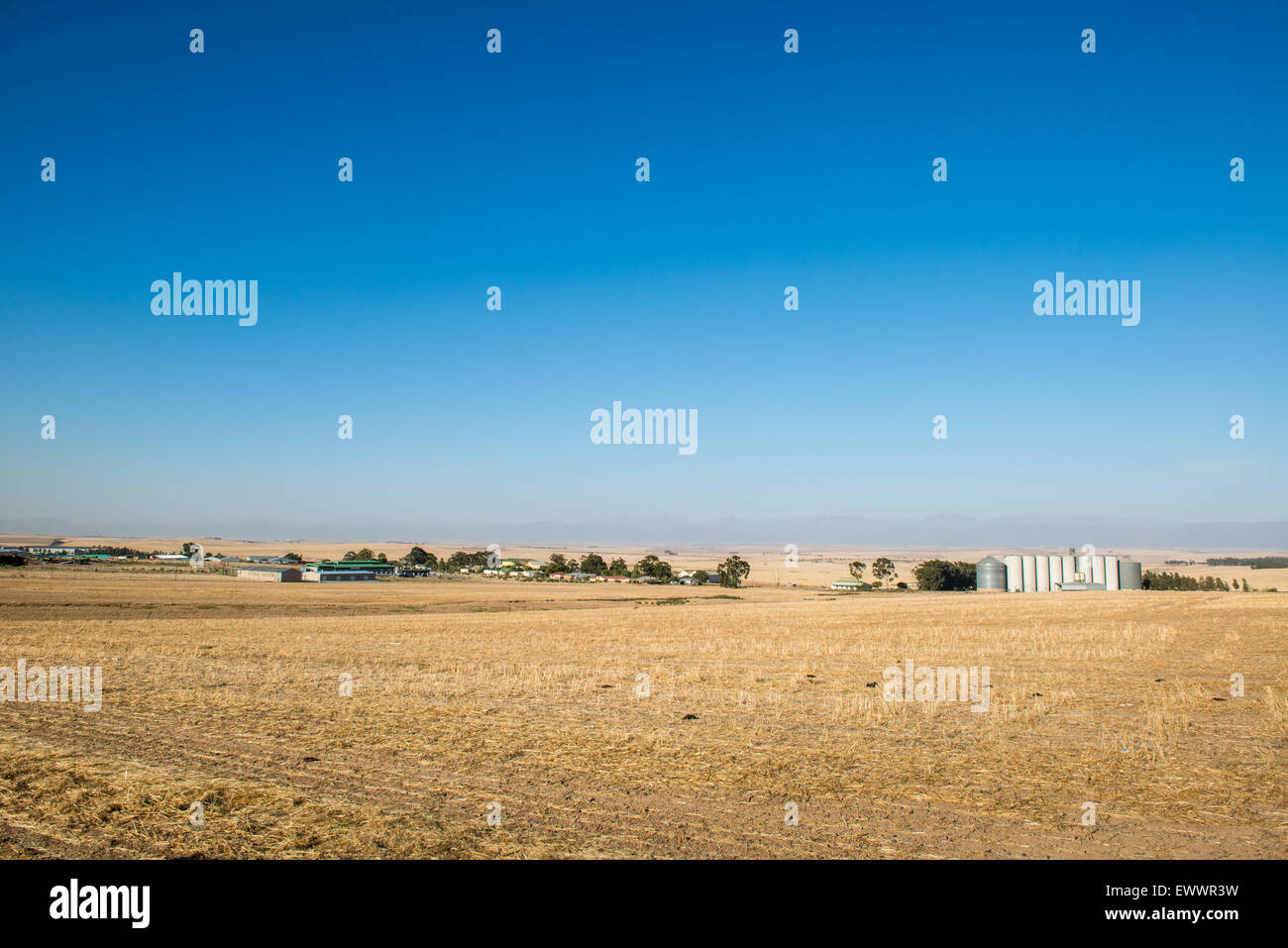 South Africa - South African farm land with wheat stubble Stock Photo ...