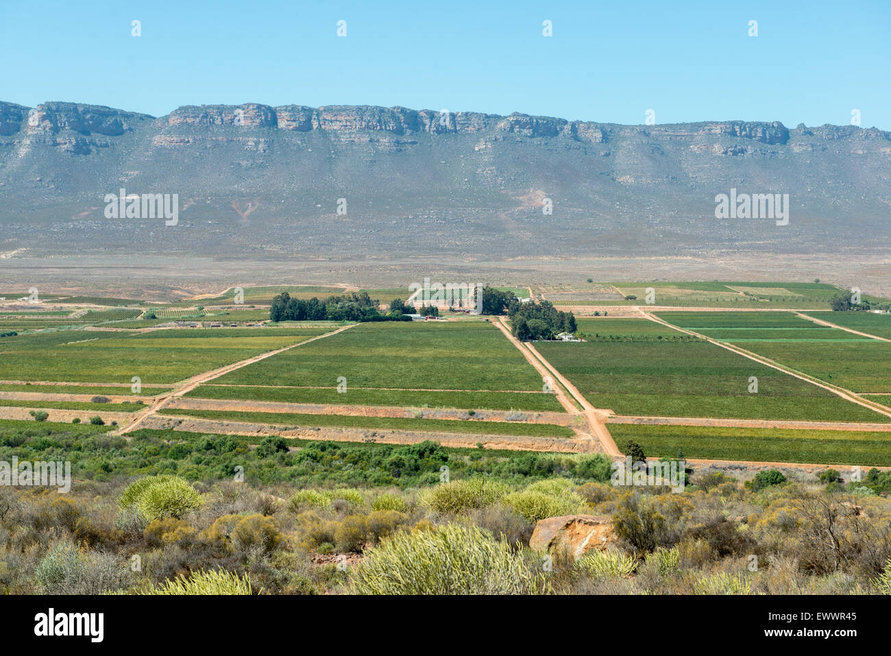 South Africa - Aerial view of agricultural landscape Stock Photo