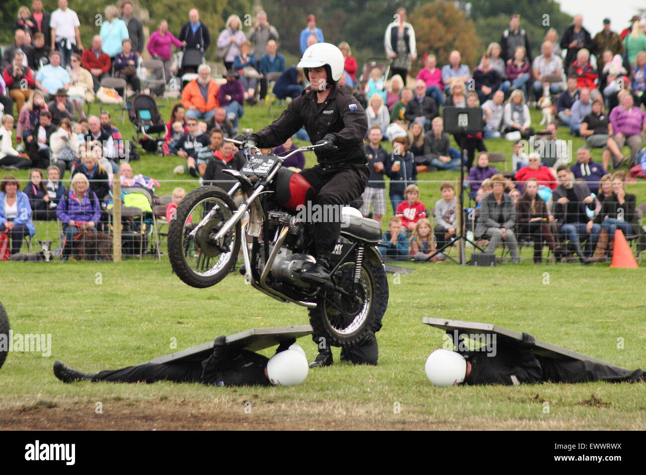 The Royal Signals White Helmets Motorcylcle display team perform at Chatsworth Country Fair, Peak District Derbyshire England UK Stock Photo