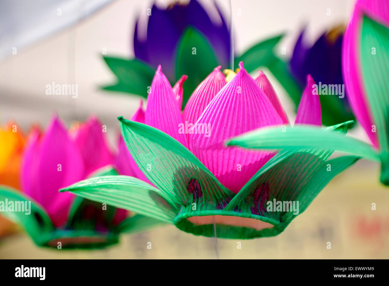 Paper lantern at Lotus Lantern Festival. Stock Photo