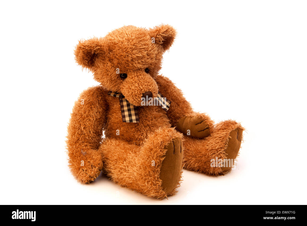 shaggy teddy bear