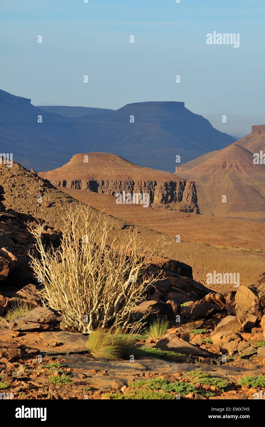 Mountain scenery at Amogjar pass, Atar, Adrar Region, Mauritania Stock Photo