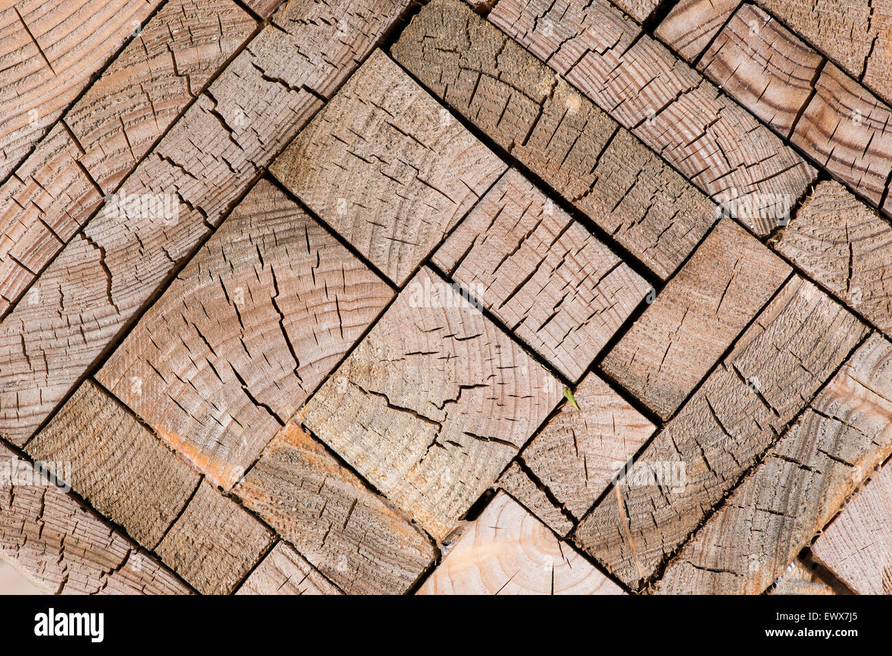 Blocks of oak (Quercus sp.) with annual rings, Baden-Württemberg, Germany Stock Photo
