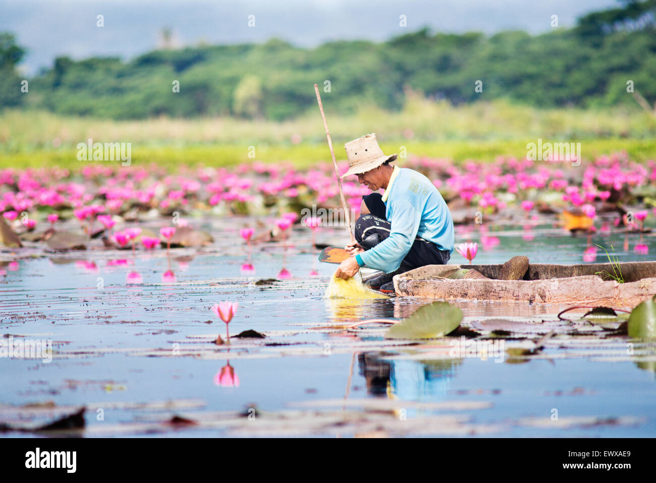 Man fishing on Phayao Lake in Thailand, Asia. Stock Photo