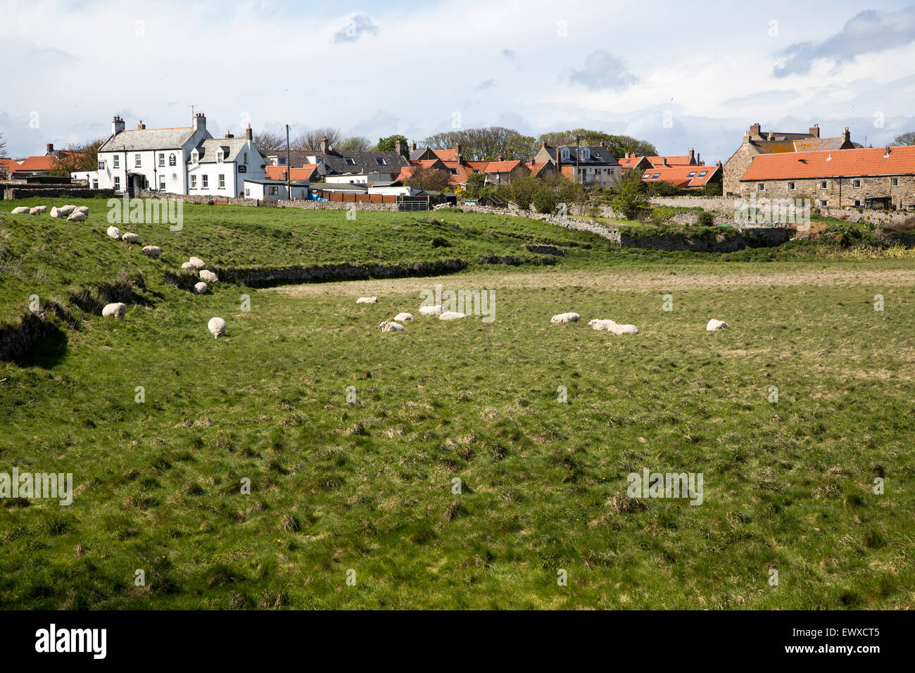 Village buildings, Holy Island, Lindisfarne, Northumberland, England