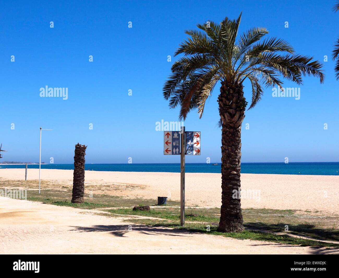 Palm tree next to a sign on a beach in Spain Stock Photo