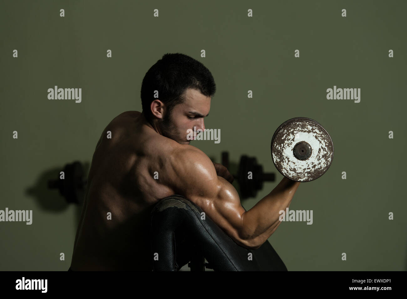 Young Man Working Out Biceps - Dumbbell Concentration Curls Stock Photo ...