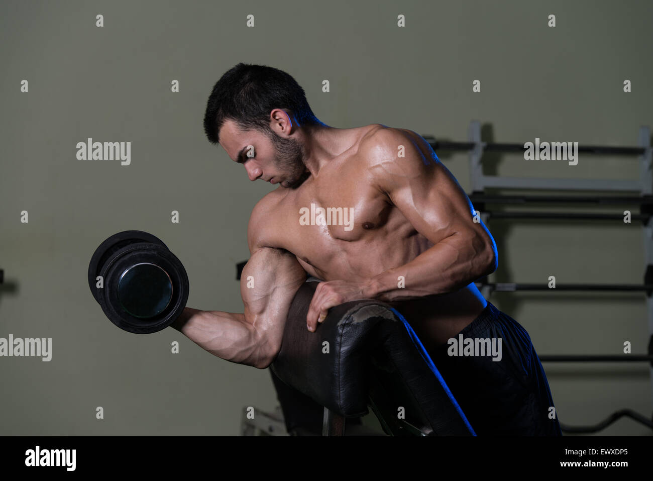 Young Man Working Out Biceps - Dumbbell Concentration Curls Stock Photo ...