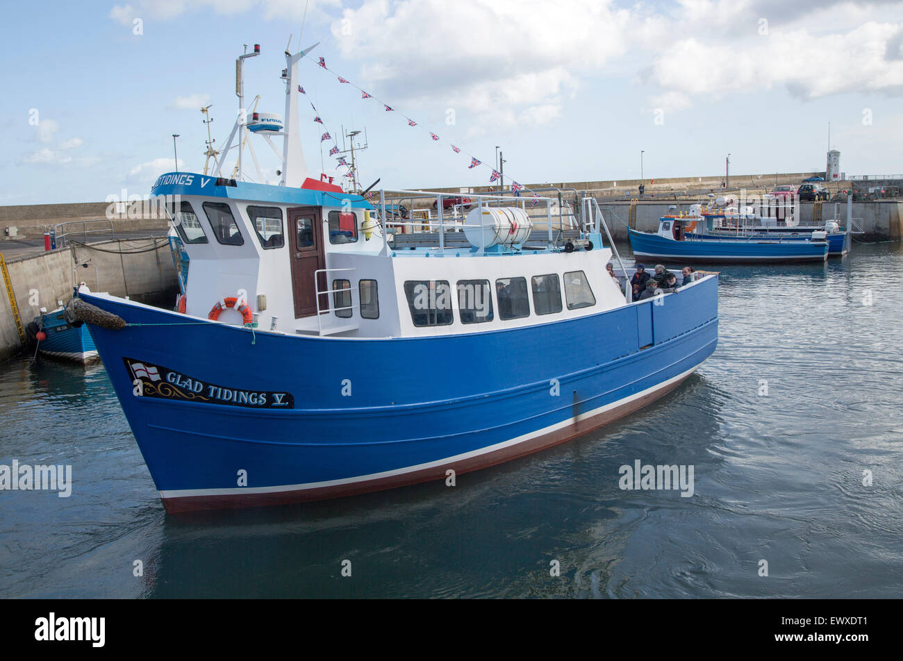 boat-trip-to-farne-islands-in-the-harbour-seahouses-northumberland