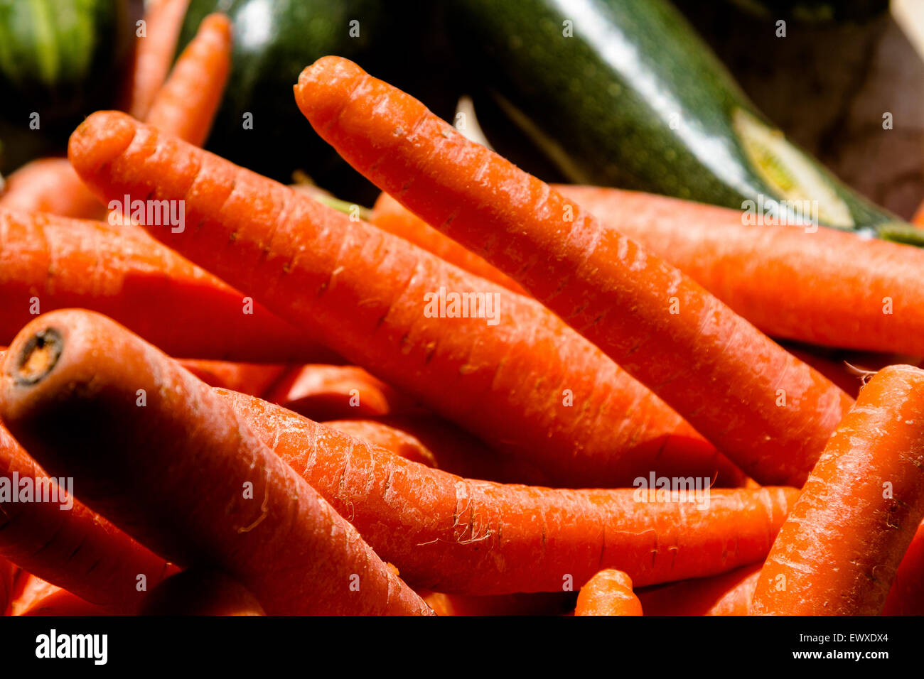 Daucus carota background filled with carrots Stock Photo