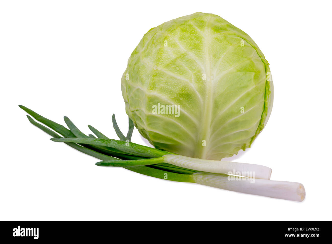 cabbage and onions Stock Photo Alamy